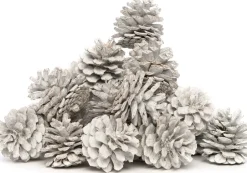 Intratuin Deko-Tannenzapfen weiß 200 g| Weihnachts- & Adventsdeko