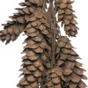 Intratuin Deko-Tannenzapfen Bund grau 70 x 20 x 70 cm| Wandhänger