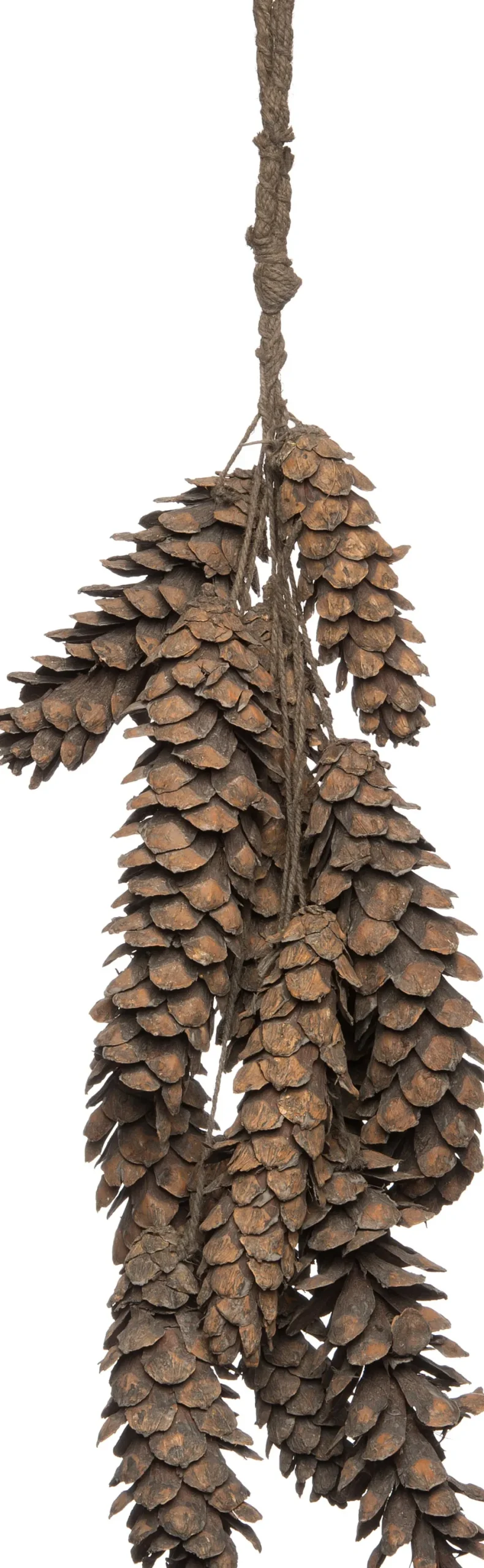 Intratuin Deko-Tannenzapfen Bund grau 70 x 20 x 70 cm| Wandhänger