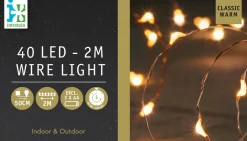 Intratuin Drahtlichterkette kupfer 2 m außen mit LEDs klassisch warm| Mini- & Drahtlichterketten