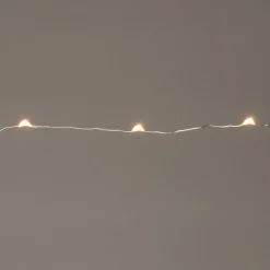 Intratuin Drahtlichterkette silber 2 m außen mit LED warmweiß| Mini- & Drahtlichterketten