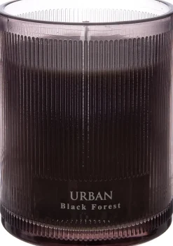 Intratuin Duftkerze Urban Black Forest grau 32 Std. D 8,3 H 10,8 cm| Kerzen Im Glas|Duftkerzen