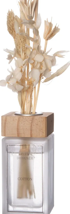 Intratuin Duftstäbchen Trockenblume Cotton 100 ml| Duftstäbchen