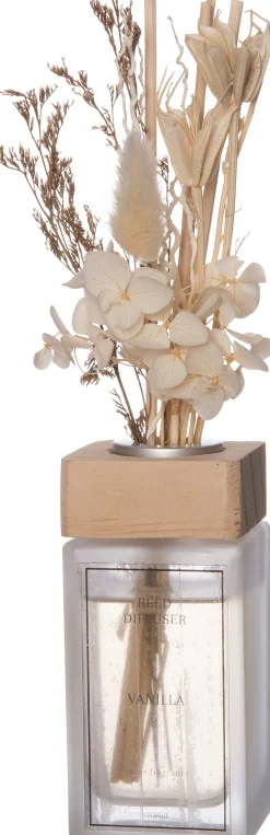 Intratuin Duftstäbchen Trockenblume Vanilla 100 ml| Duftstäbchen