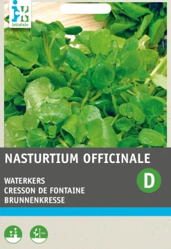 Intratuin Echte Brunnenkresse (Nasturtium officinale) Kressesamen| Gemüsesamen|Saatgut
