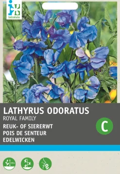 Intratuin Edelwicke blau (Lathyrus odoratus 'Royal Family') Blumensamen| Saatgut|Blühende Pflanzen