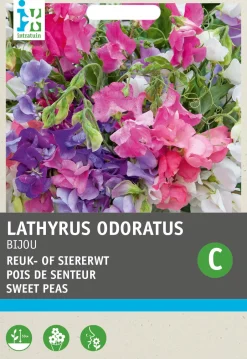 Intratuin Edelwicke (Lathyrus odoratus 'Bijou') Blumensamen-Mischung| Saatgut|Blühende Pflanzen