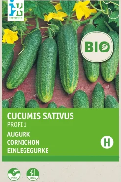 Intratuin Einlegegurke (Cucumis sativus 'Profi F1') (BIO) Samen| Gemüsesamen|Saatgut