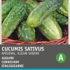 Intratuin Einlegegurke (Cucumis sativus 'National') Samen| Gemüsesamen|Saatgut