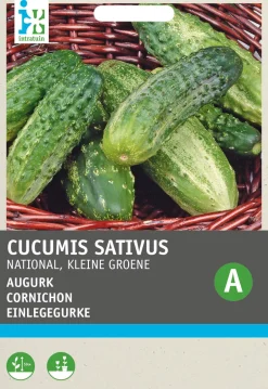 Intratuin Einlegegurke (Cucumis sativus 'National') Samen| Gemüsesamen|Saatgut