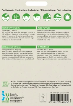 Intratuin Einlegegurke (Cucumis sativus 'Hokus') Samen| Gemüsesamen|Saatgut