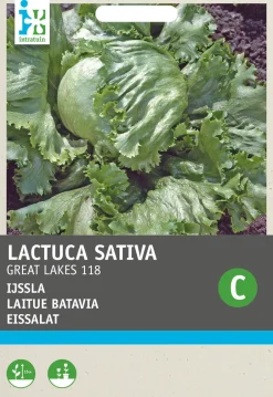 Intratuin Eisbergsalat (Lactuca sativa 'Great-Lakes 118') Samen| Gemüsesamen|Saatgut