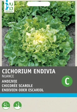 Intratuin Endivie (Cichorium endivia 'Nuance') Samen| Gemüsesamen|Saatgut