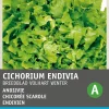 Intratuin Endivie (Cichorium endivia 'Escariol Grüner') Samen| Gemüsesamen|Saatgut