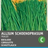 Intratuin Feiner Schnittlauch (Allium schoenoprasum 'Prager') Samen| Kräutersamen|Saatgut