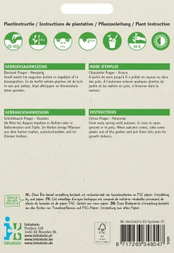 Intratuin Feiner Schnittlauch (Allium schoenoprasum 'Prager') Samen| Kräutersamen|Saatgut