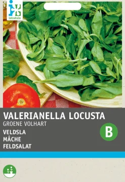 Intratuin Feldsalat (Valerianella olitoiria 'Vollherzig') Samen| Gemüsesamen|Saatgut