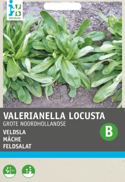 Intratuin Feldsalat (Vallerianella locusta) Samen| Gemüsesamen|Saatgut