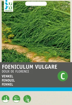 Intratuin Fenchel (Foeniculum vulgare 'Doux de Florence') Samen| Gemüsesamen|Saatgut