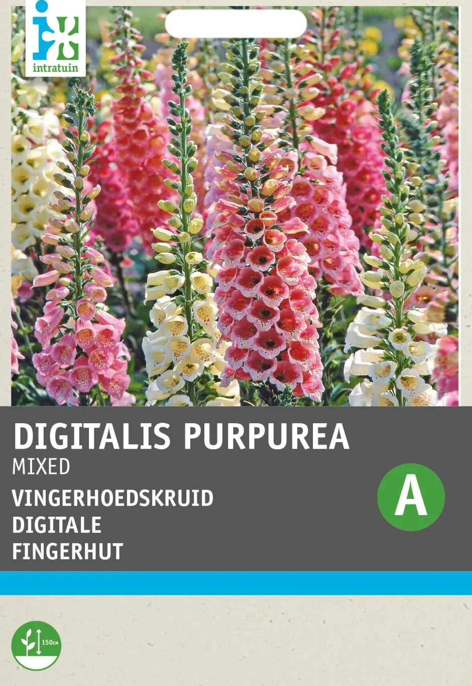 Intratuin Fingerhut (Digitalis pupurea 'Gloxiniiflora') Blumensamen| Saatgut|Blühende Pflanzen