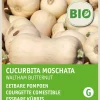 Intratuin Flaschenkürbis (Cucurbita maxima 'Waltham Butternut') (BIO) Samen| Gemüsesamen|Saatgut