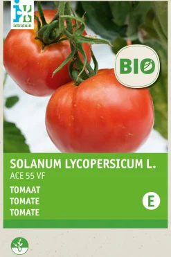 Intratuin Fleischtomate (Solanum lycopersicum 'Ace 55VF') (BIO) Samen| Gemüsesamen|Saatgut
