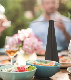 Intratuin Fliegenwedler schwarz 8 x 8 x 25,5 cm| Schädlingsbekämpfung