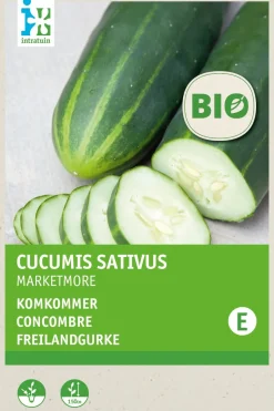 Intratuin Freilandgurke (Cucumis sativus 'Marketmore') (BIO) Samen| Gemüsesamen|Saatgut