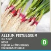 Intratuin Frühlingszwiebeln rot (Allium fistulosum 'Red Ninja') Samen| Gemüsesamen|Saatgut