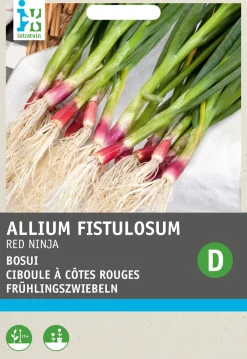 Intratuin Frühlingszwiebeln rot (Allium fistulosum 'Red Ninja') Samen| Gemüsesamen|Saatgut