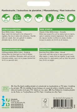 Intratuin Frühlingszwiebel (Allium cepa 'White Lisbon') Samen| Gemüsesamen|Saatgut