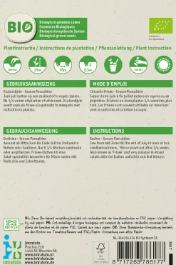 Intratuin Frisee-Endivie (Cichorium endivia 'Grosse Pancaliere') (BIO) Samen| Gemüsesamen|Saatgut