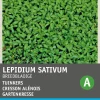 Intratuin Gartenkresse groß- / breitblättrig (Lepidium sativum) Kressesamen| Gemüsesamen|Saatgut