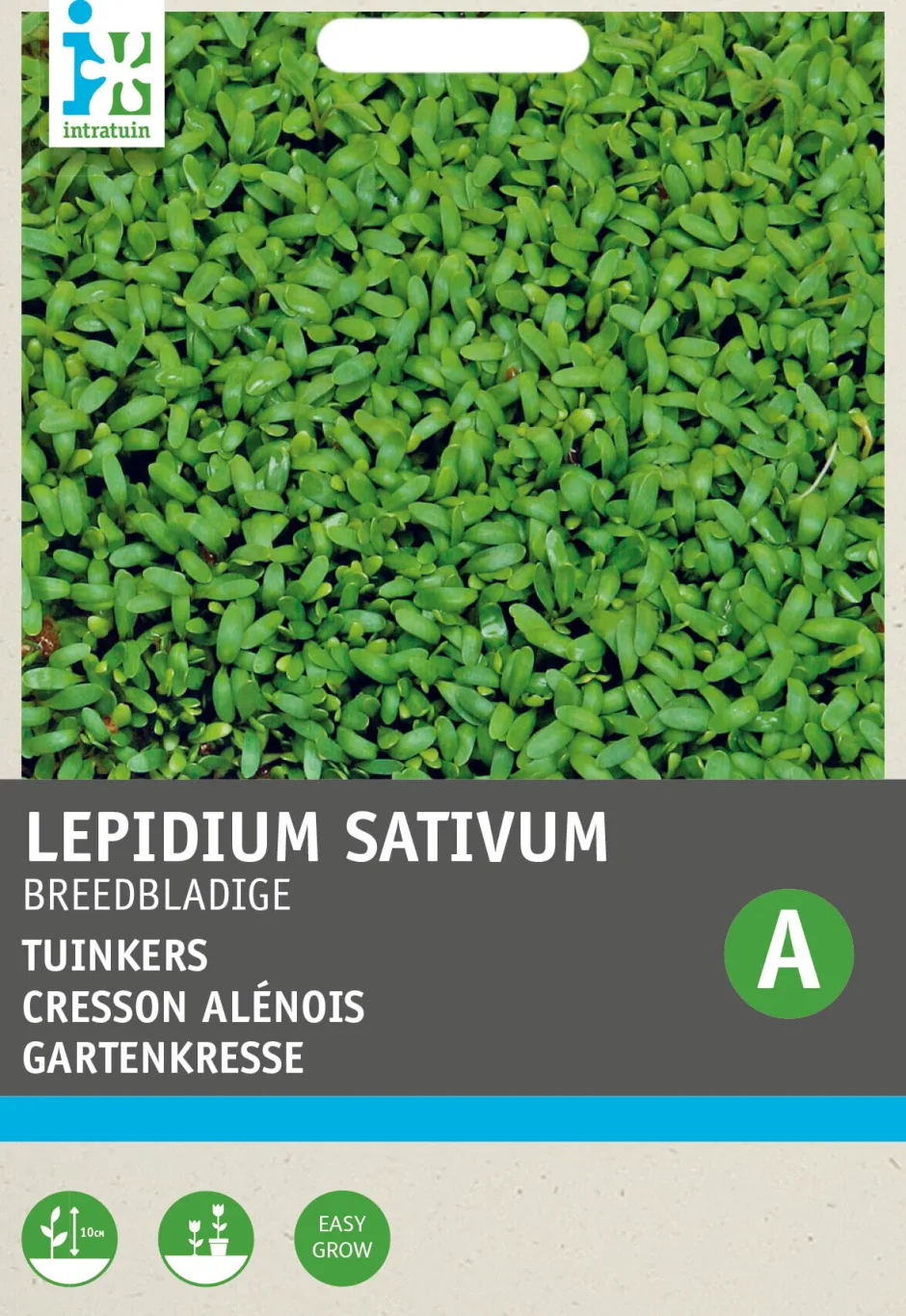 Intratuin Gartenkresse groß- / breitblättrig (Lepidium sativum) Kressesamen| Gemüsesamen|Saatgut