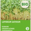 Intratuin Gartenkresse (Lepidium sativum) (BIO) Kressesamen| Gemüsesamen|Saatgut