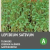 Intratuin Gartenkresse (Lepidium sativum) Kressesamen| Gemüsesamen|Saatgut