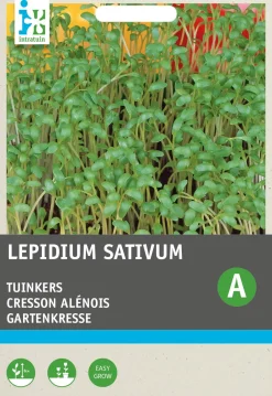 Intratuin Gartenkresse (Lepidium sativum) Kressesamen| Gemüsesamen|Saatgut