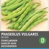 Intratuin Gemüsesamen Buschbohnen (Phaseolus vulgaris 'Record')| Gemüsesamen|Saatgut