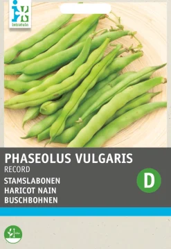 Intratuin Gemüsesamen Buschbohnen (Phaseolus vulgaris 'Record')| Gemüsesamen|Saatgut