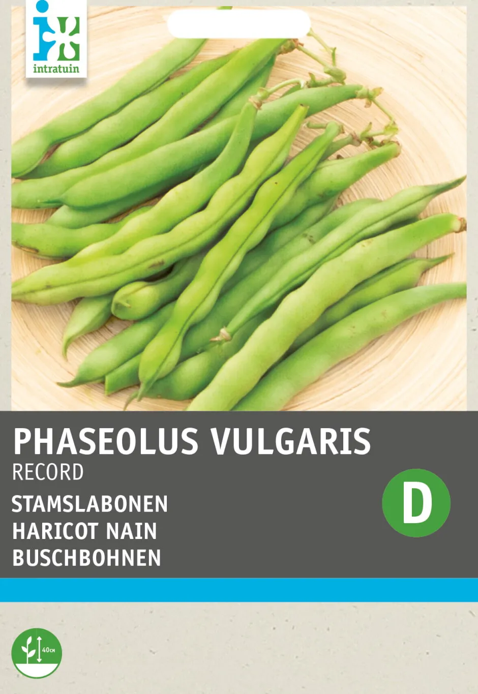 Intratuin Gemüsesamen Buschbohnen (Phaseolus vulgaris 'Record')| Gemüsesamen|Saatgut