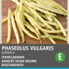 Intratuin Gemüsesamen Buschbohnen (Phaseolus vulgaris 'Gondola')| Gemüsesamen|Saatgut