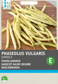 Intratuin Gemüsesamen Buschbohnen (Phaseolus vulgaris 'Gondola')| Gemüsesamen|Saatgut