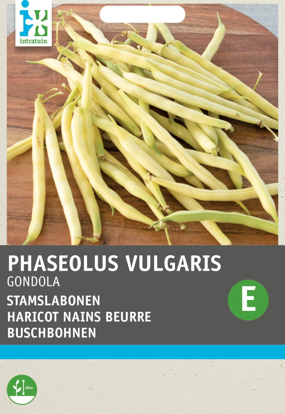 Intratuin Gemüsesamen Buschbohnen (Phaseolus vulgaris 'Gondola')| Gemüsesamen|Saatgut