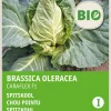 Intratuin Gemüsesamen Spitzkohl (Brassica oleracea 'Caraflex f1') (BIO) Samen| Gemüsesamen|Saatgut