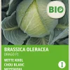 Intratuin Gemüsesamen Weißkohl (Brassica oleracea 'Drago F1') (BIO) Samen| Gemüsesamen|Saatgut