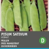 Intratuin Gemüsesamen Zuckererbsen (Pisum sativum 'Heraut')| Gemüsesamen|Saatgut