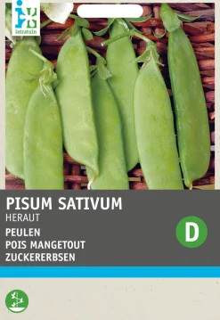Intratuin Gemüsesamen Zuckererbsen (Pisum sativum 'Heraut')| Gemüsesamen|Saatgut