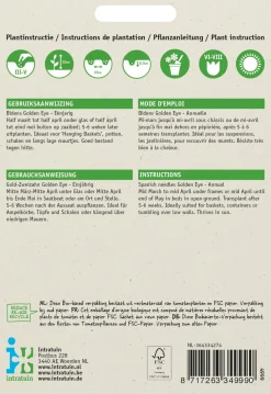 Intratuin Gold-Zweizahn (Bidens humilis 'Golden Eye') Blumensamen| Saatgut|Blühende Pflanzen