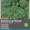 Intratuin Grünkohl (Brassica oleracea 'Westlandse Herfst') Samen| Gemüsesamen|Saatgut