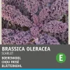 Intratuin Grünkohl (Brassica oleracea 'Scarlet') Samen| Gemüsesamen|Saatgut